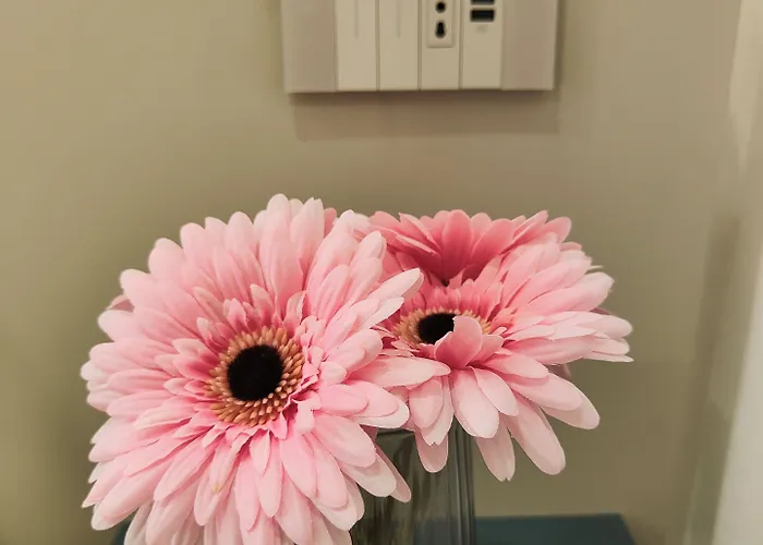 Panzió Rosa 4*