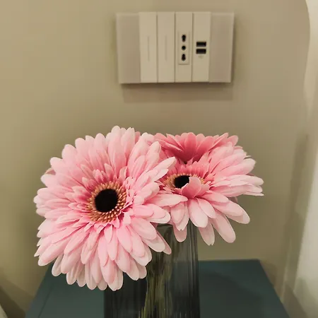 Bed & Breakfast Rosa 3*
